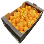 kasse med appelsiner 15kg